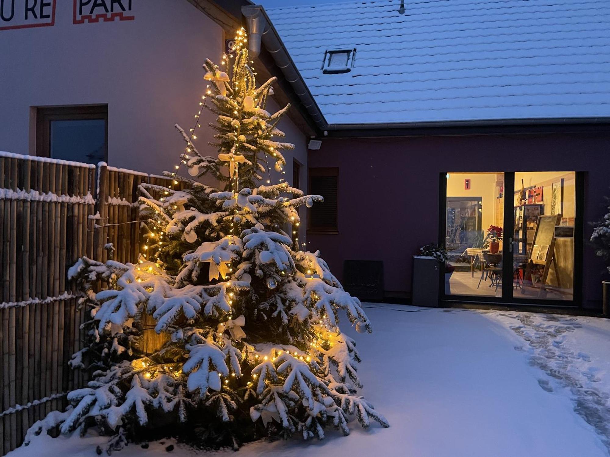 Le Refuge Du Rempart Hotel Dambach Eksteriør billede