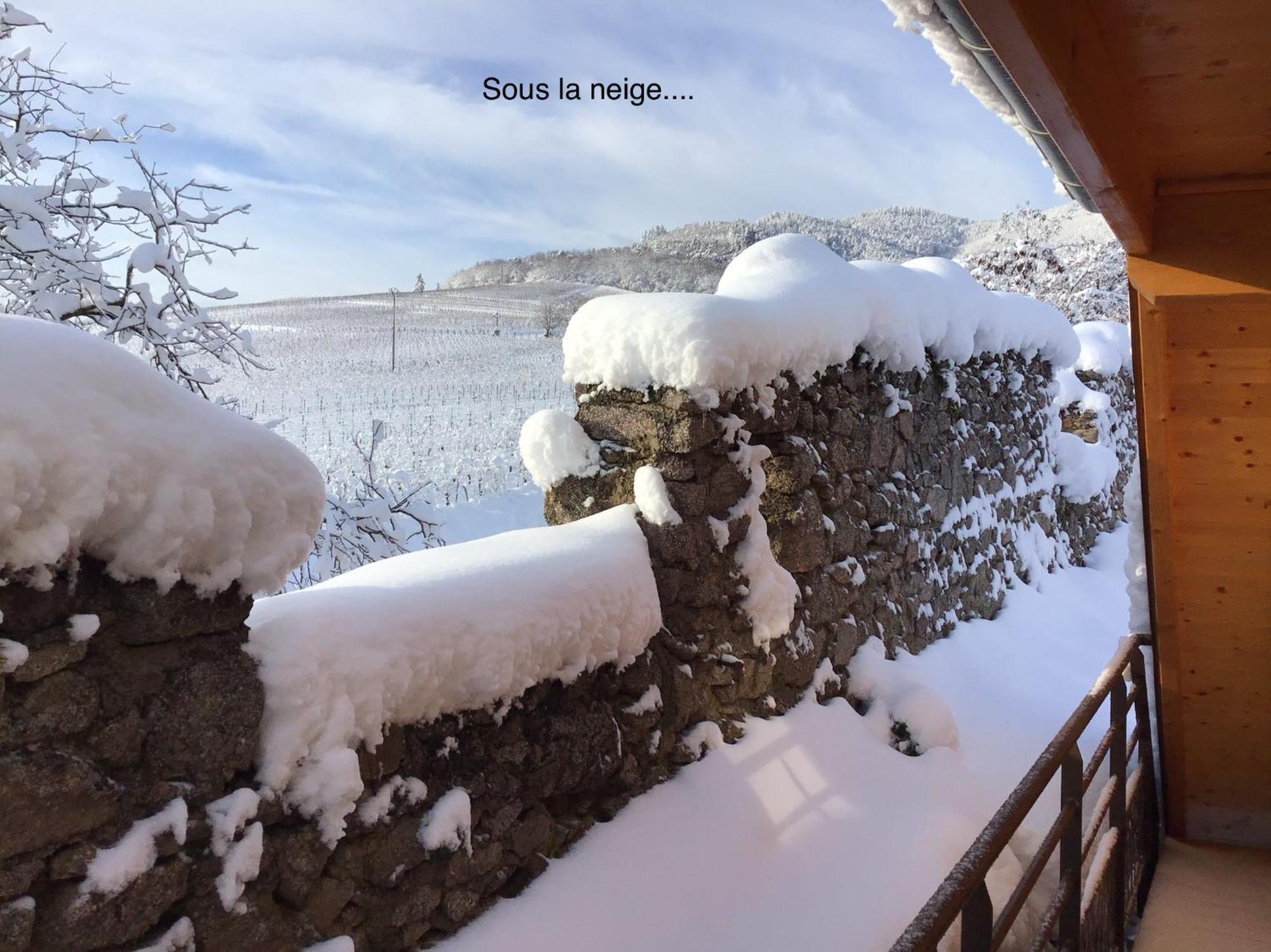 Le Refuge Du Rempart Hotel Dambach Værelse billede